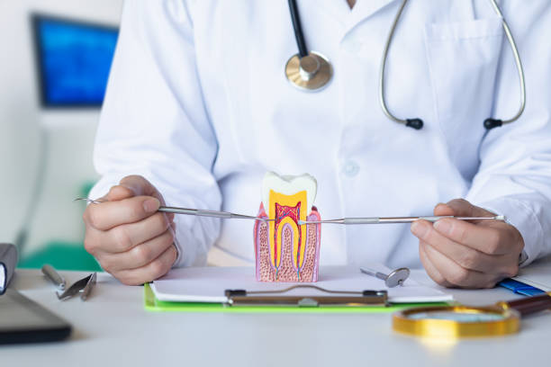 Best Emergency TMJ Treatment in West Pittston, PA